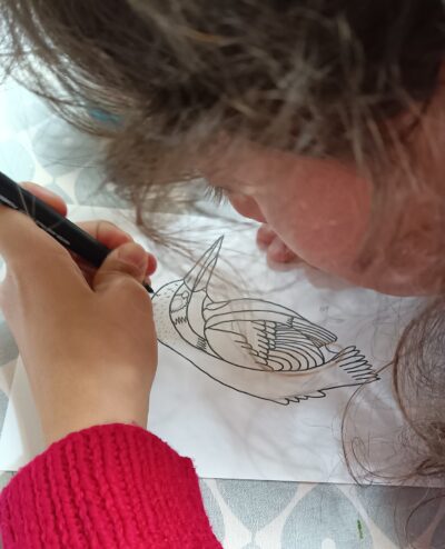25/7/25 Drawing Animals the Easy Way